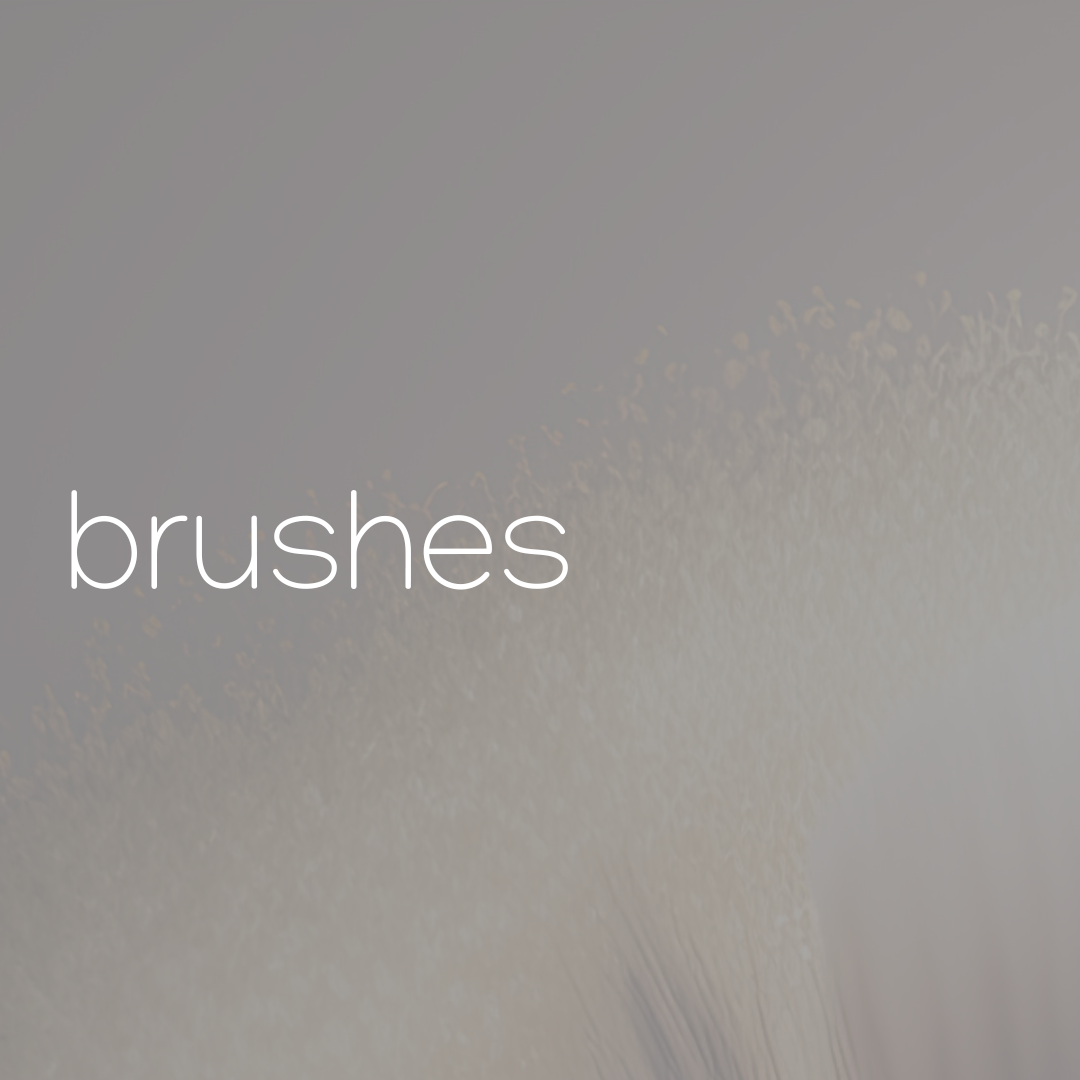 Carlucce Brush Bundle - Review